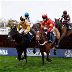 william hill grand national bet calculator